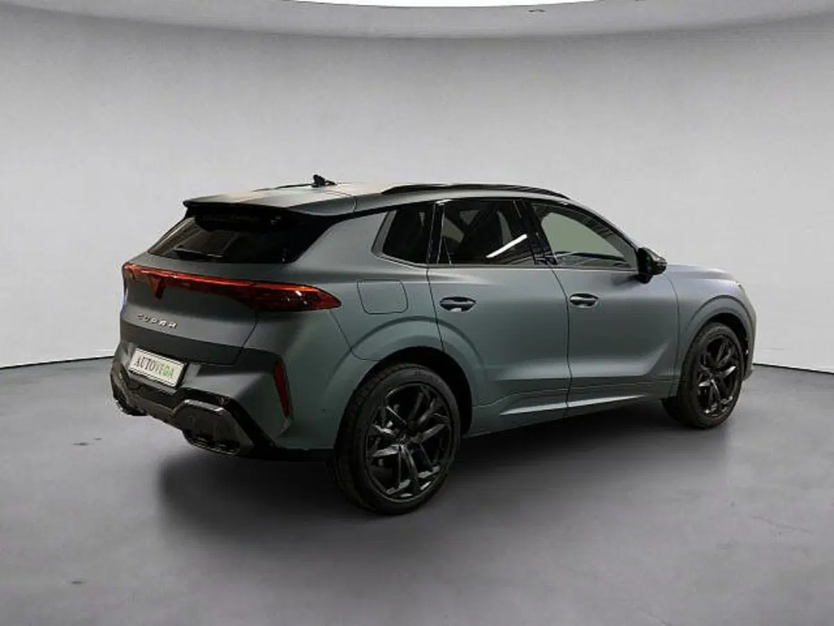 Cupra Terramar usata a Vicenza (4)