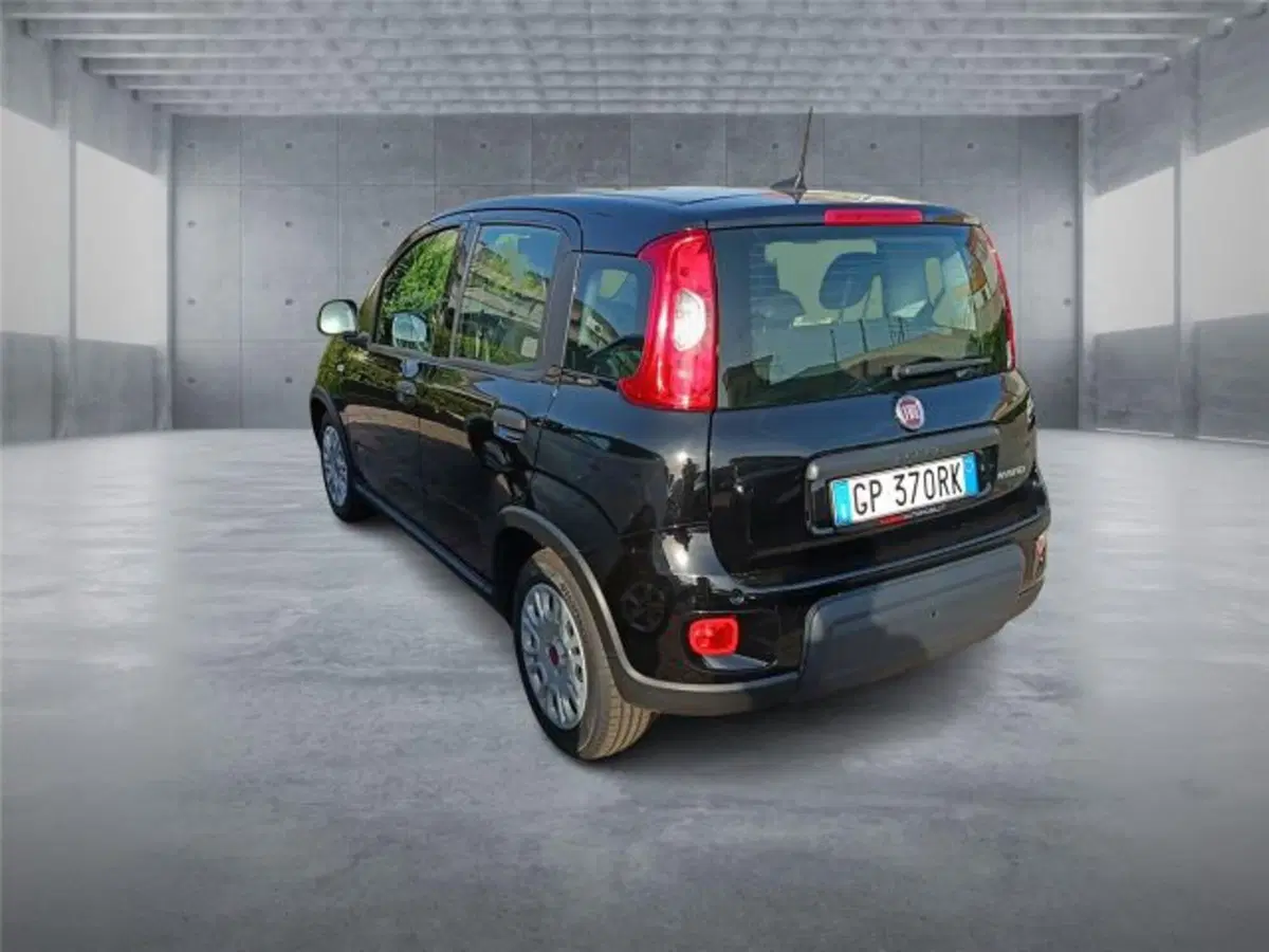 Fiat Panda usata a Bari (4)