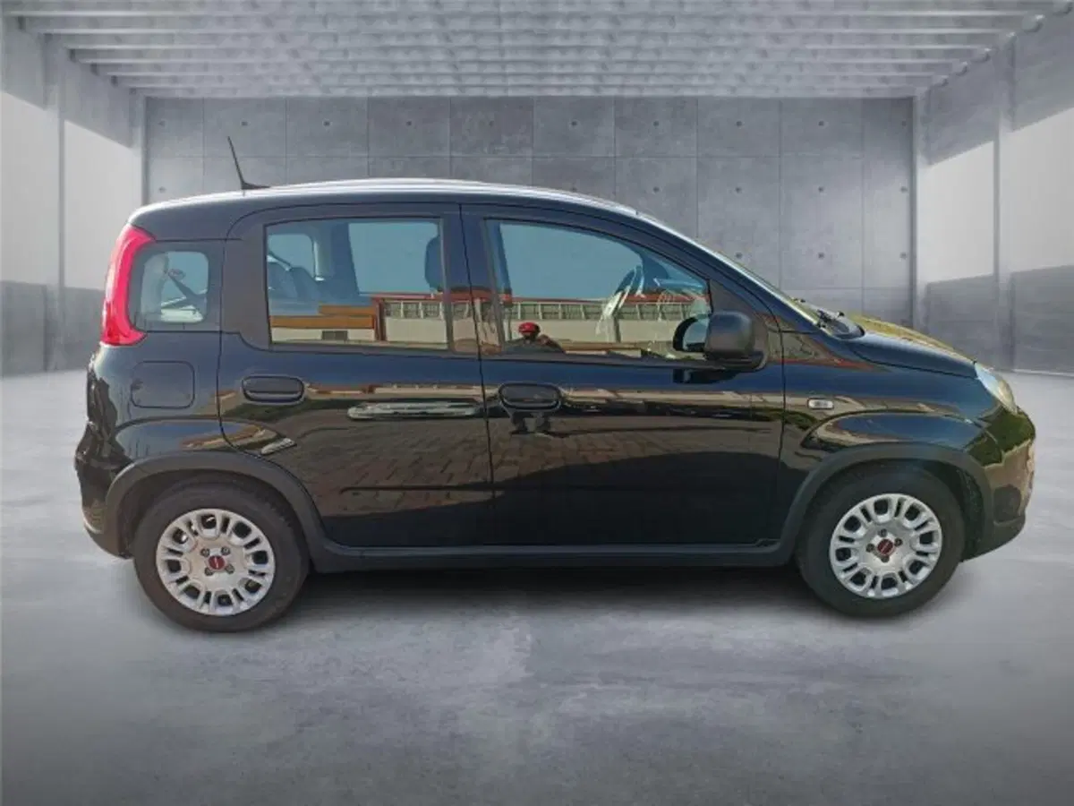 Fiat Panda usata a Bari (7)