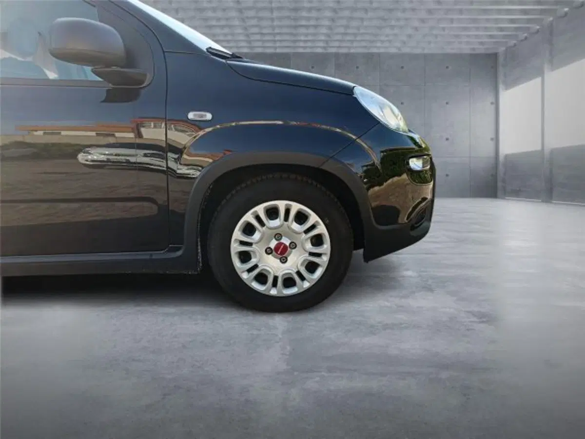 Fiat Panda usata a Bari (8)