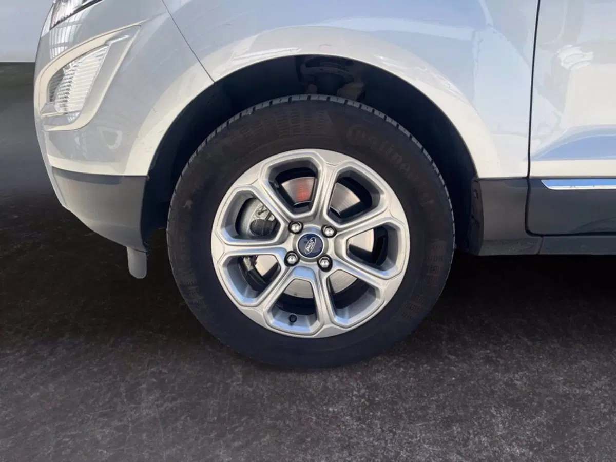 Ford EcoSport usata a Milano (9)