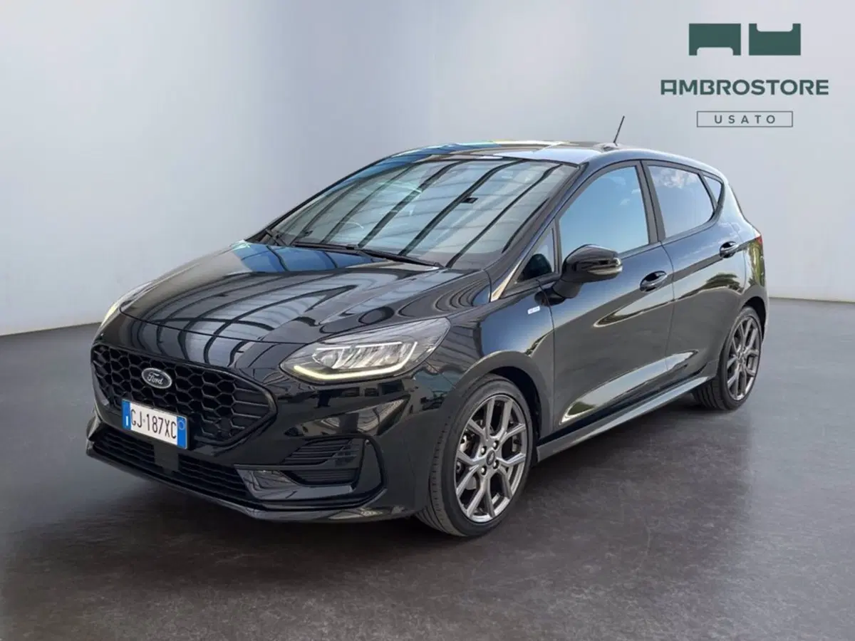 Ford Fiesta usata a Milano