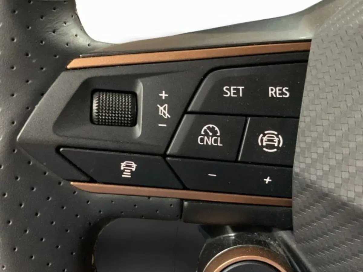 Cupra Formentor usata a Vicenza (11)