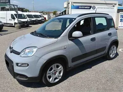 Fiat Panda 1.0 firefly hybrid s&amp;s 70cv 5p.ti del 2023 usata a Pianezza