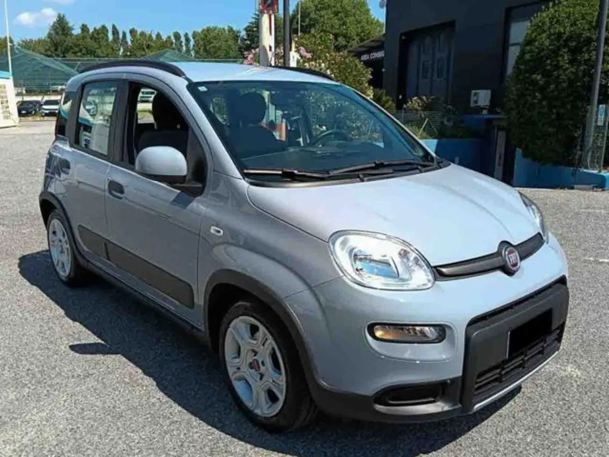 Fiat Panda usata a Torino (2)