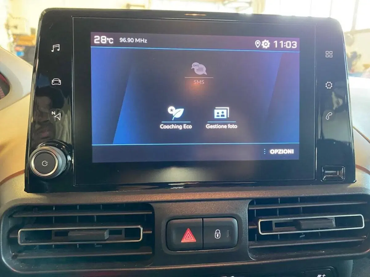 Peugeot Rifter usata a Torino (10)