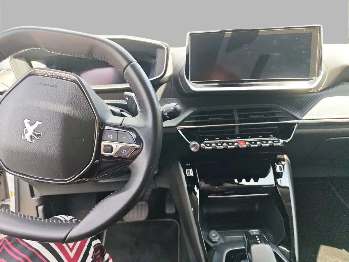 Peugeot 2008 usata a Monza e Brianza (6)