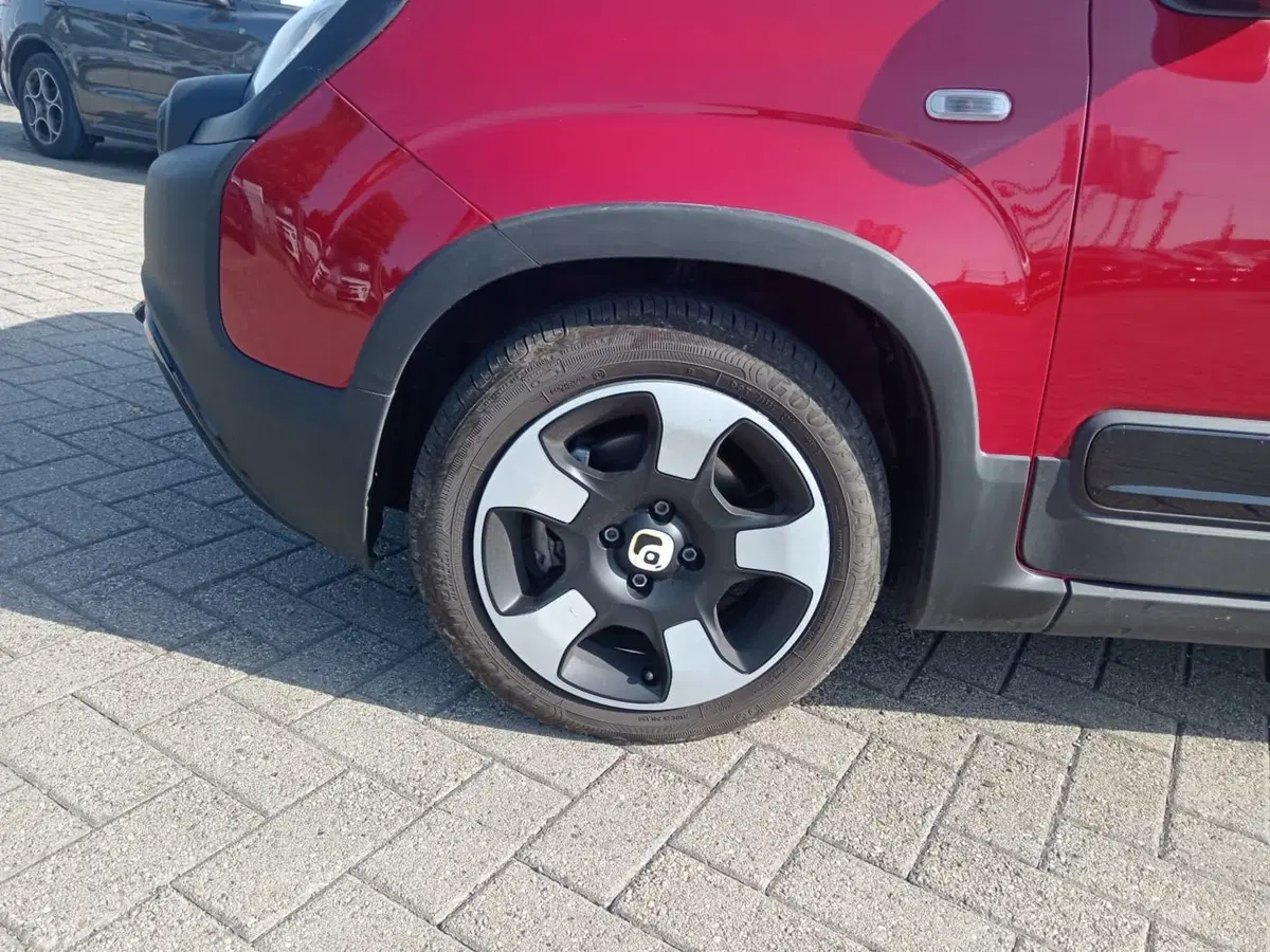 Fiat Panda Cross usata a Alessandria (10)