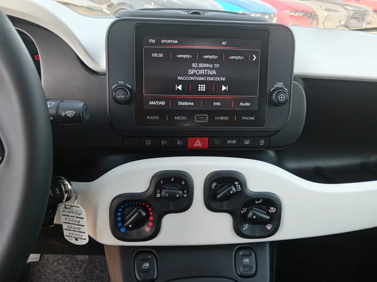 Fiat Panda Cross usata a Alessandria (15)