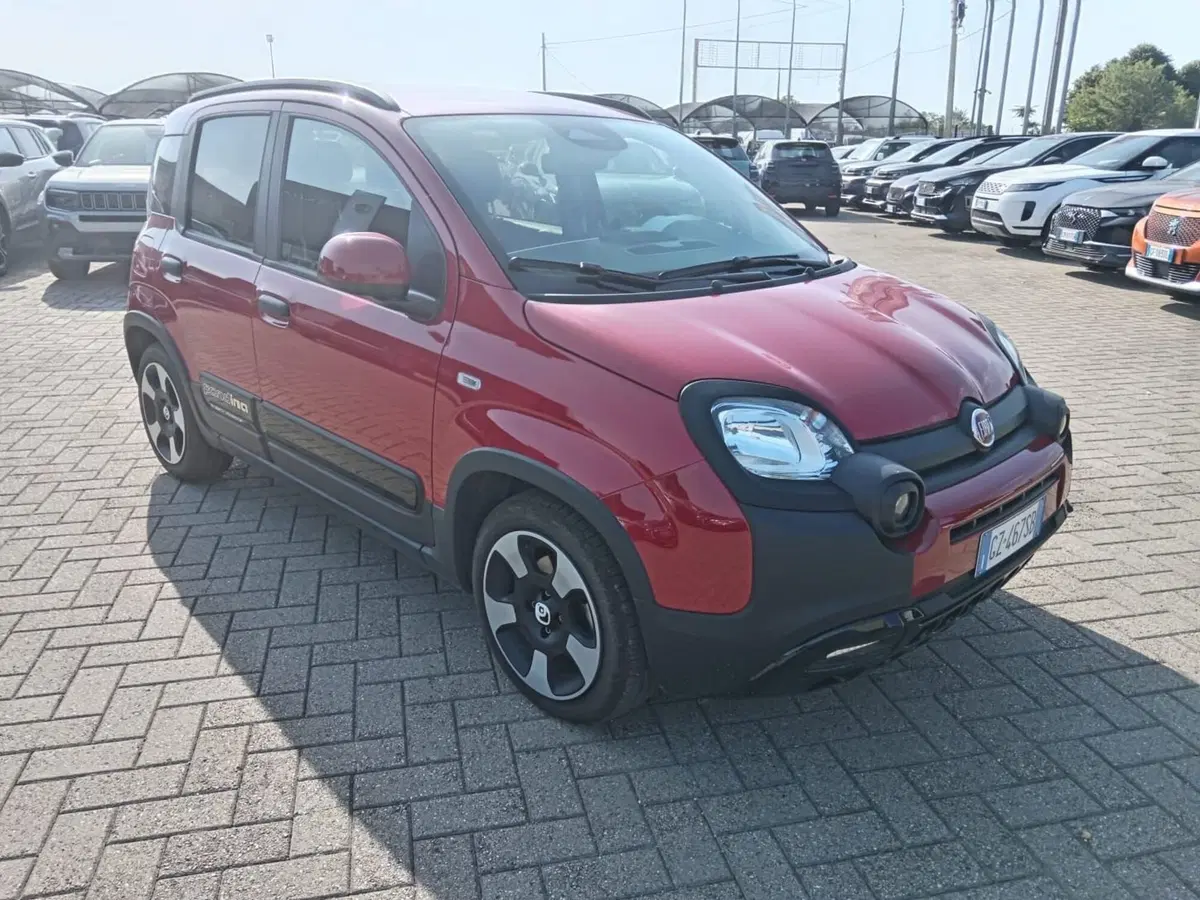 Fiat Panda Cross usata a Alessandria (3)
