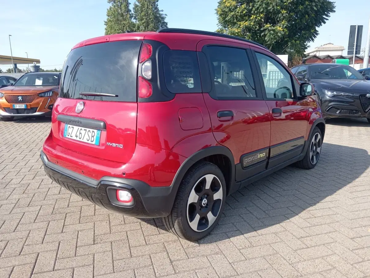 Fiat Panda Cross usata a Alessandria (5)