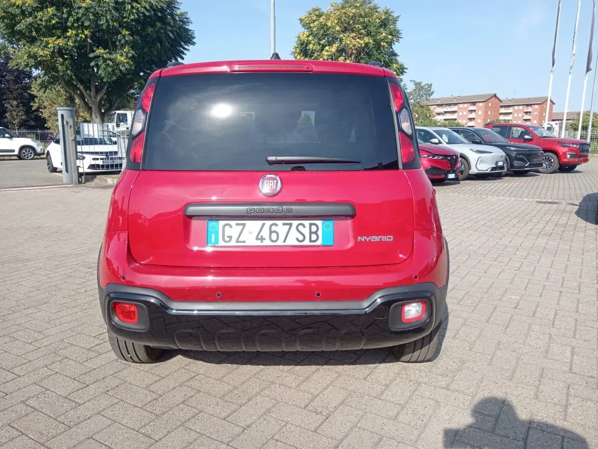 Fiat Panda Cross usata a Alessandria (6)