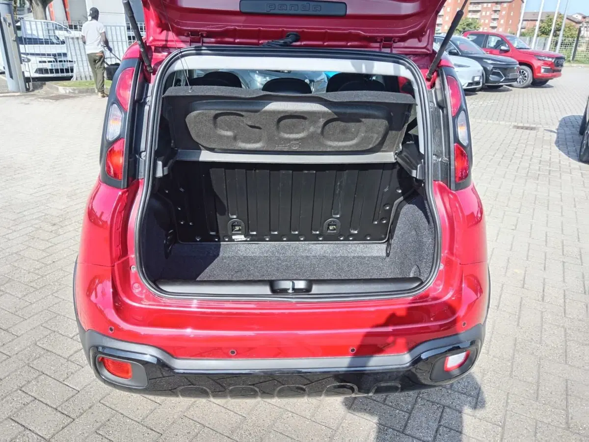Fiat Panda Cross usata a Alessandria (7)