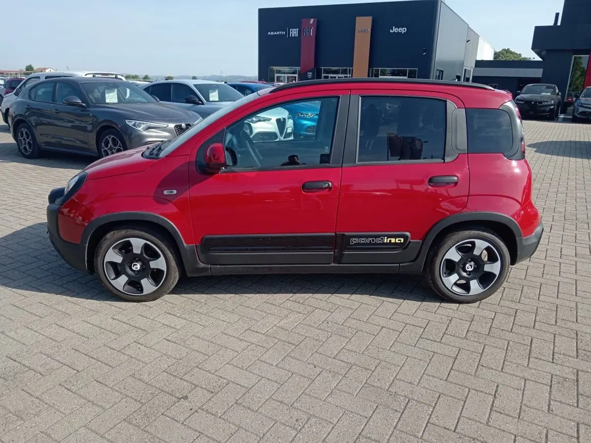 Fiat Panda Cross usata a Alessandria (9)