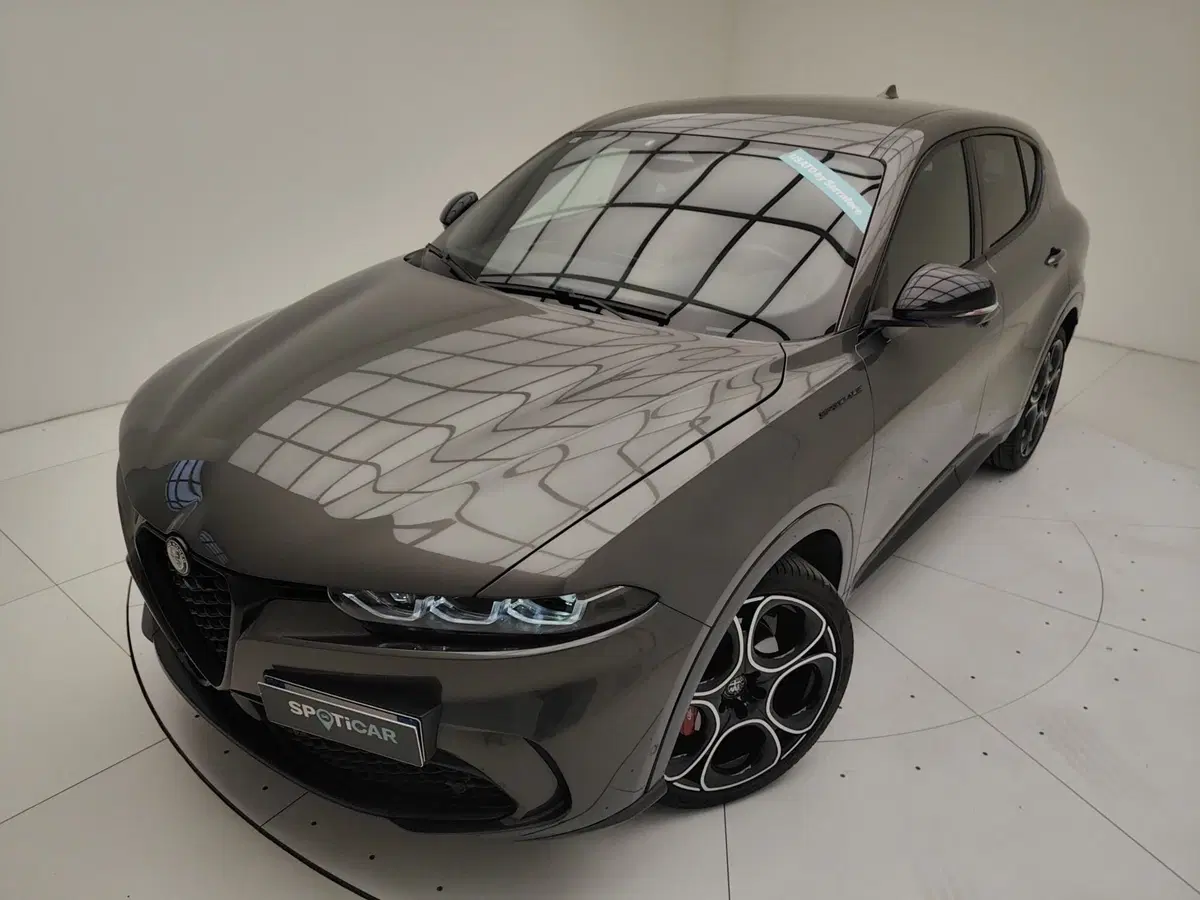 Alfa Romeo Tonale usata a Como (15)