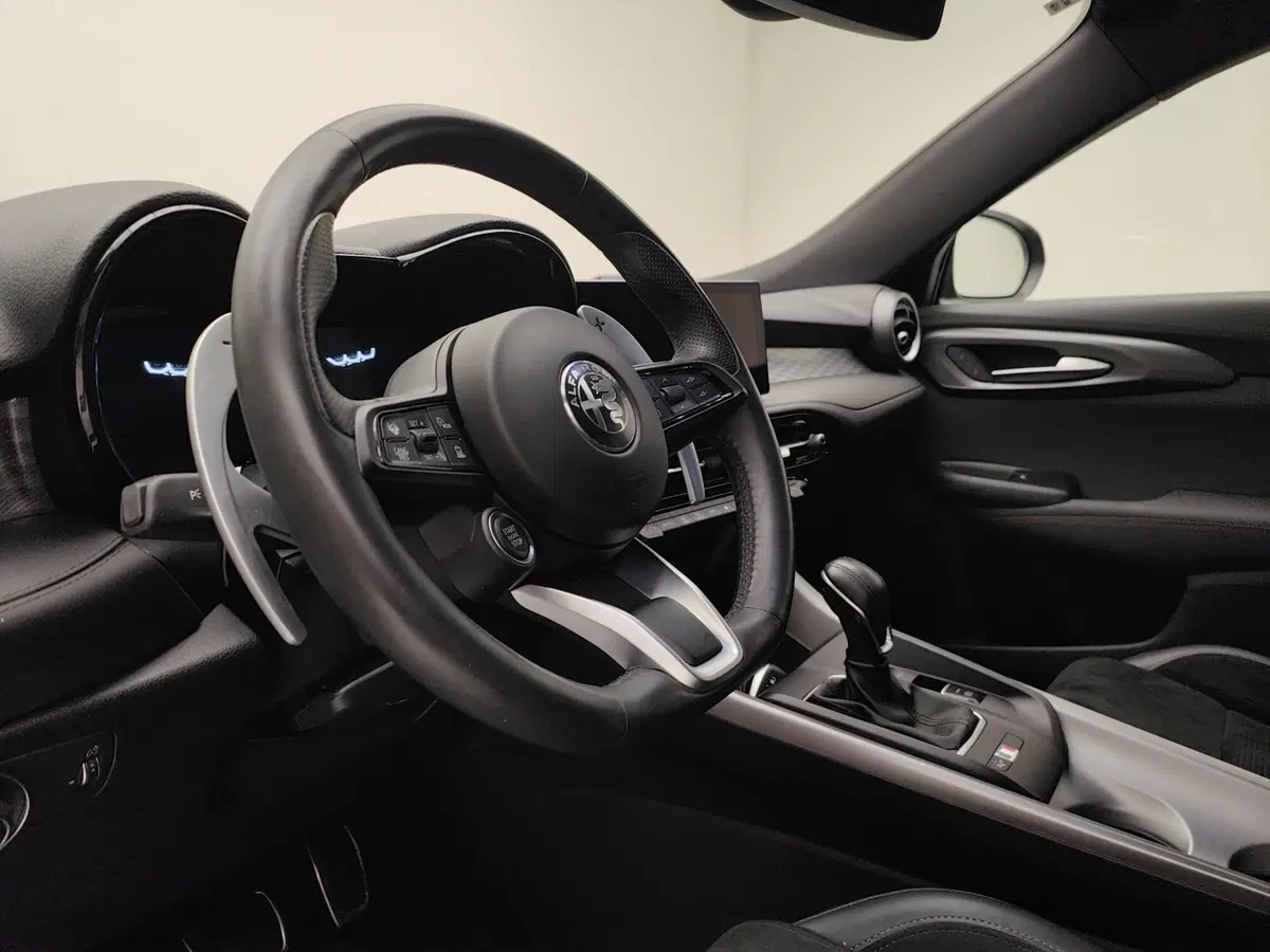 Alfa Romeo Tonale usata a Como (9)