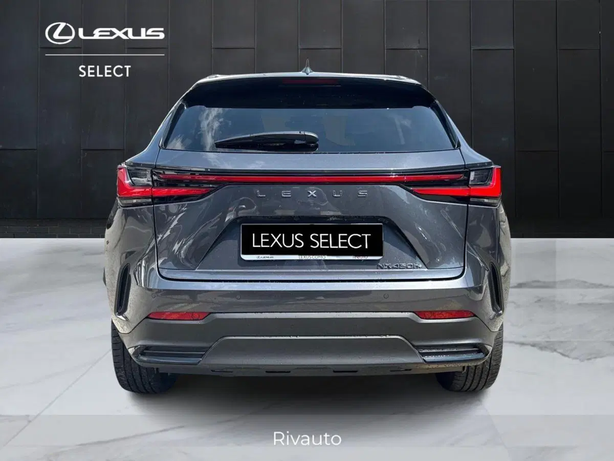 Lexus NX usata a Como (12)