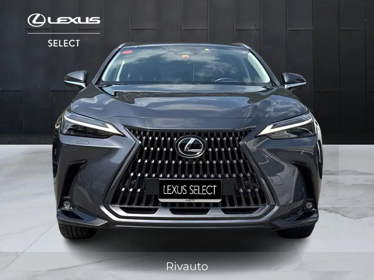 Lexus NX usata a Como (13)