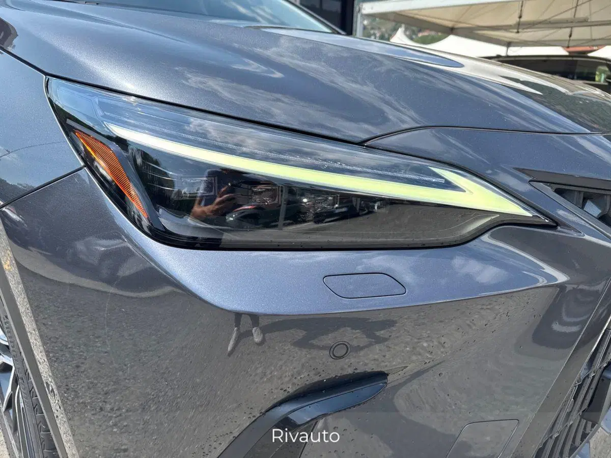 Lexus NX usata a Como (14)