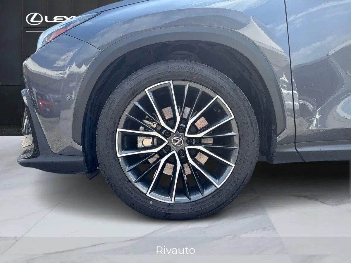 Lexus NX usata a Como (15)