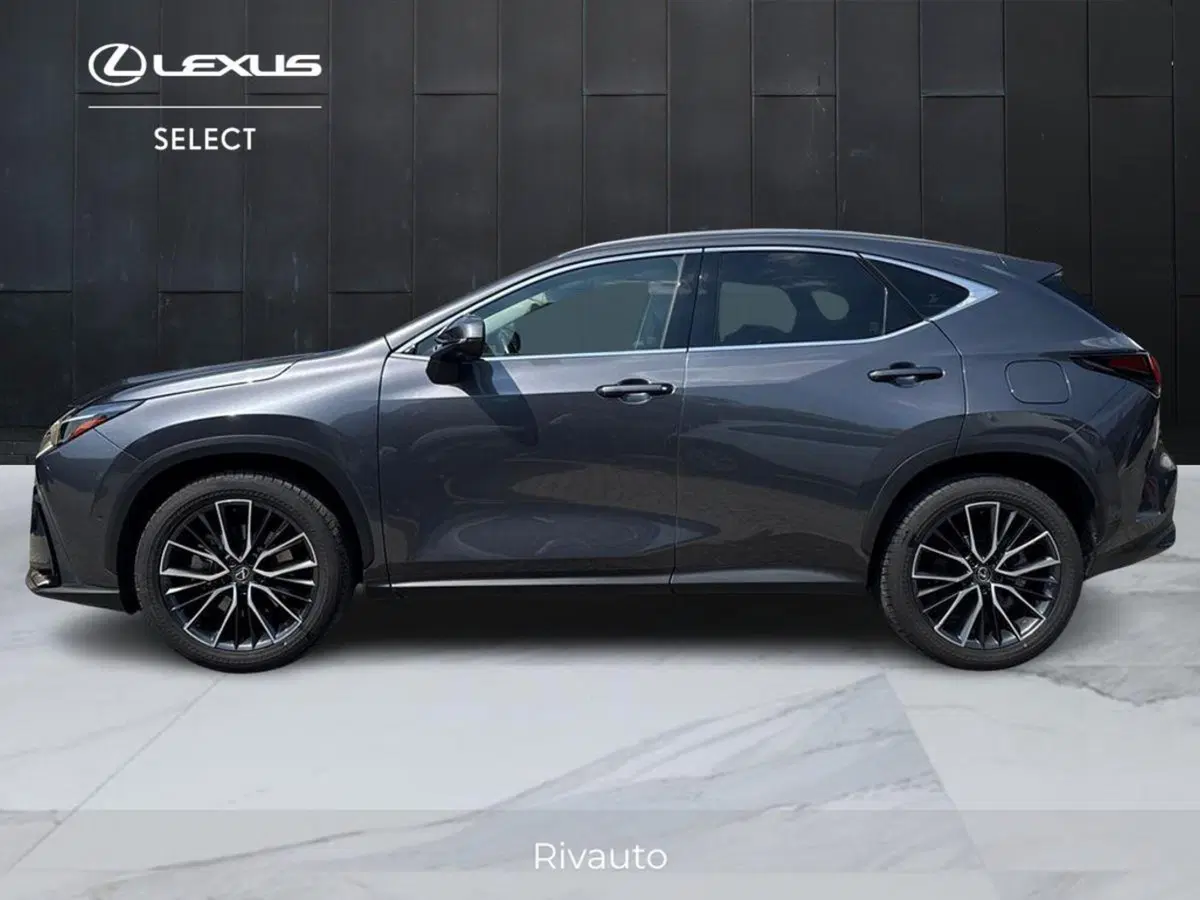 Lexus NX usata a Como (3)