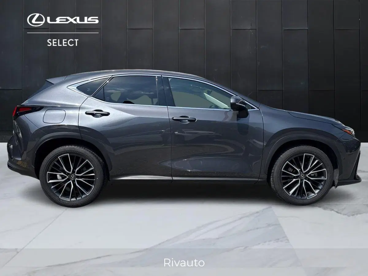 Lexus NX usata a Como (4)