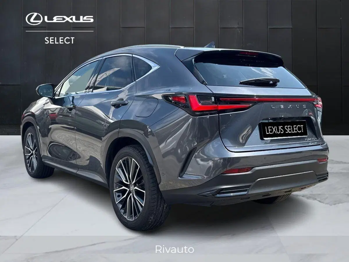 Lexus NX usata a Como (5)