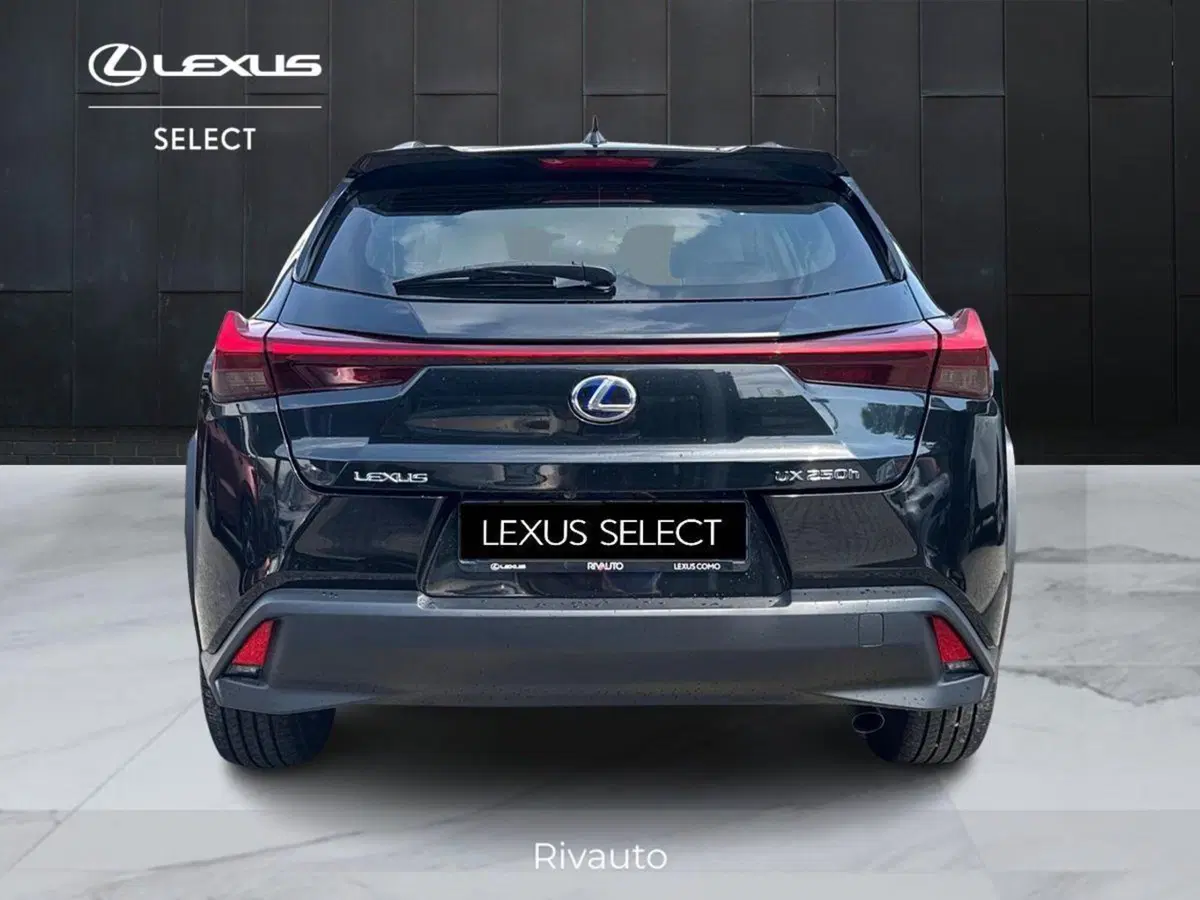 Lexus UX usata a Como (12)
