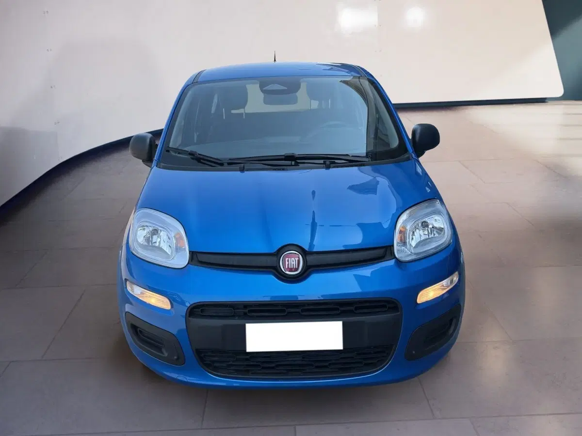 Fiat Pandina usata a Torino