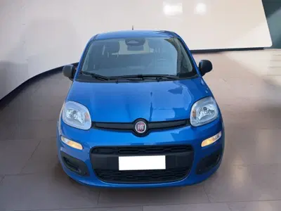 Fiat Pandina 1.0 firefly hybrid s&amp;s 70cv del 2025 usata a Torino