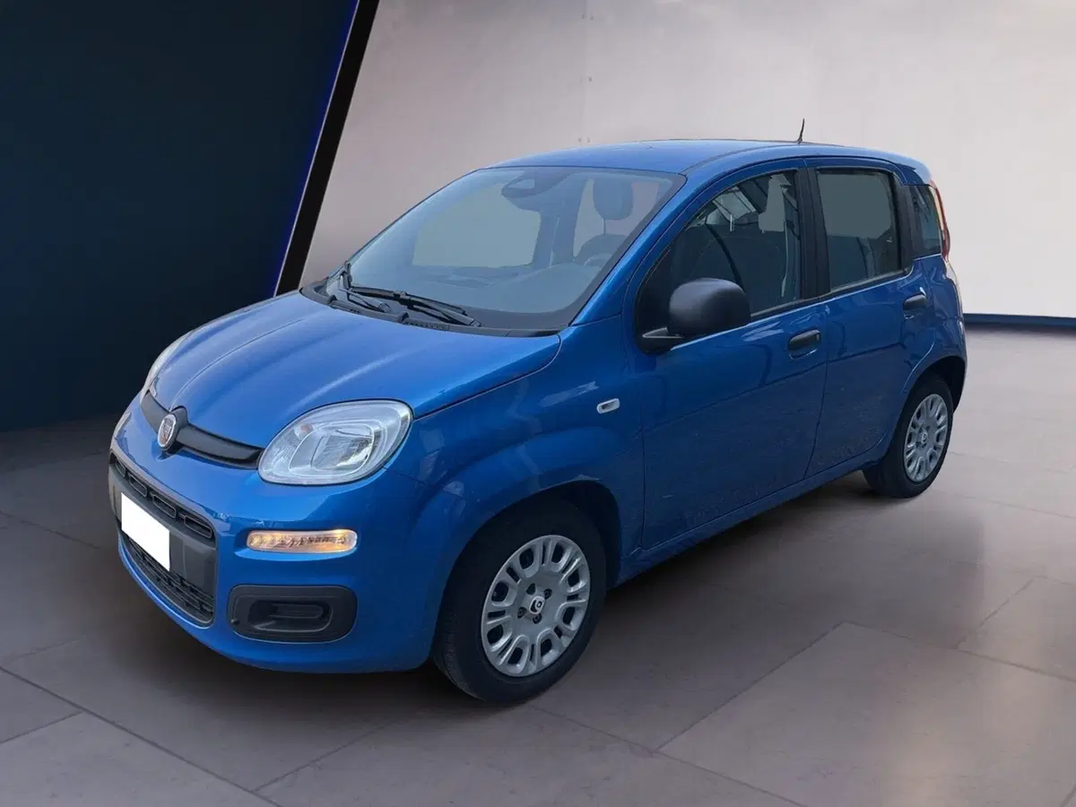 Fiat Pandina usata a Torino (2)