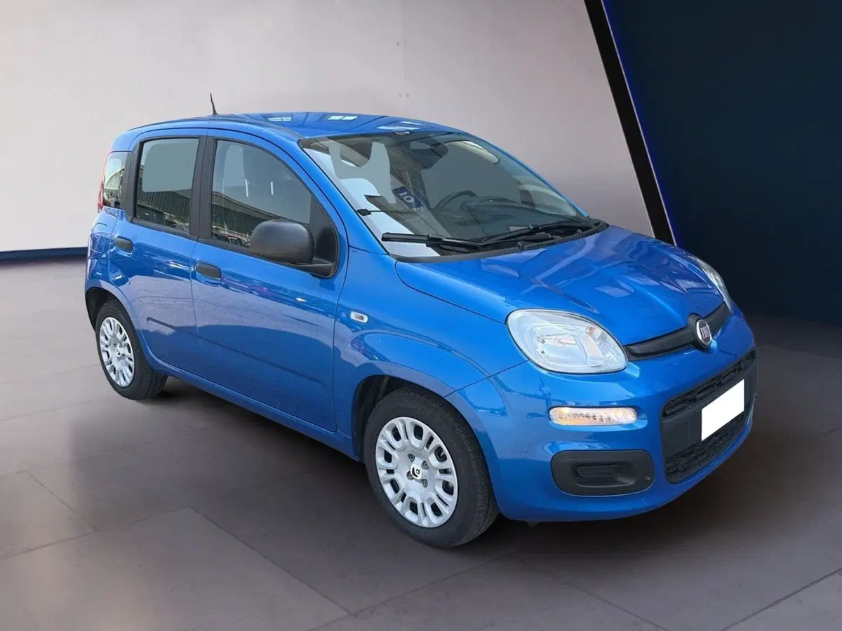 Fiat Pandina usata a Torino (3)
