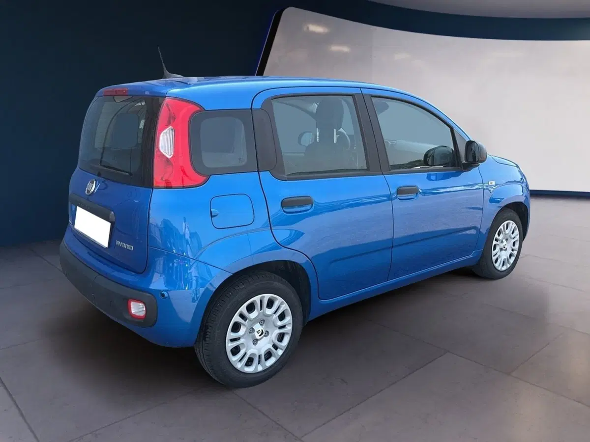 Fiat Pandina usata a Torino (4)