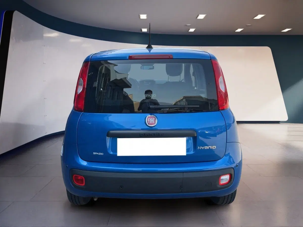 Fiat Pandina usata a Torino (5)