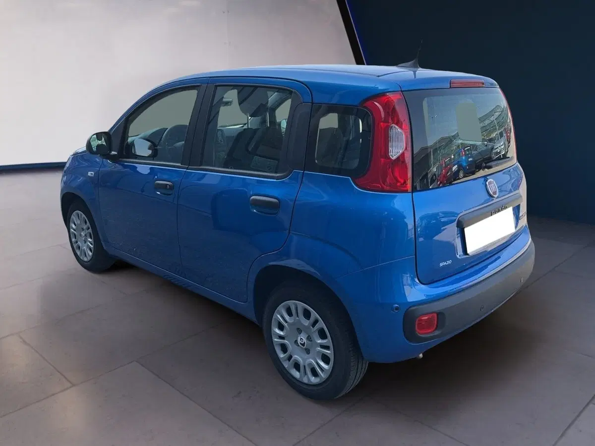 Fiat Pandina usata a Torino (6)
