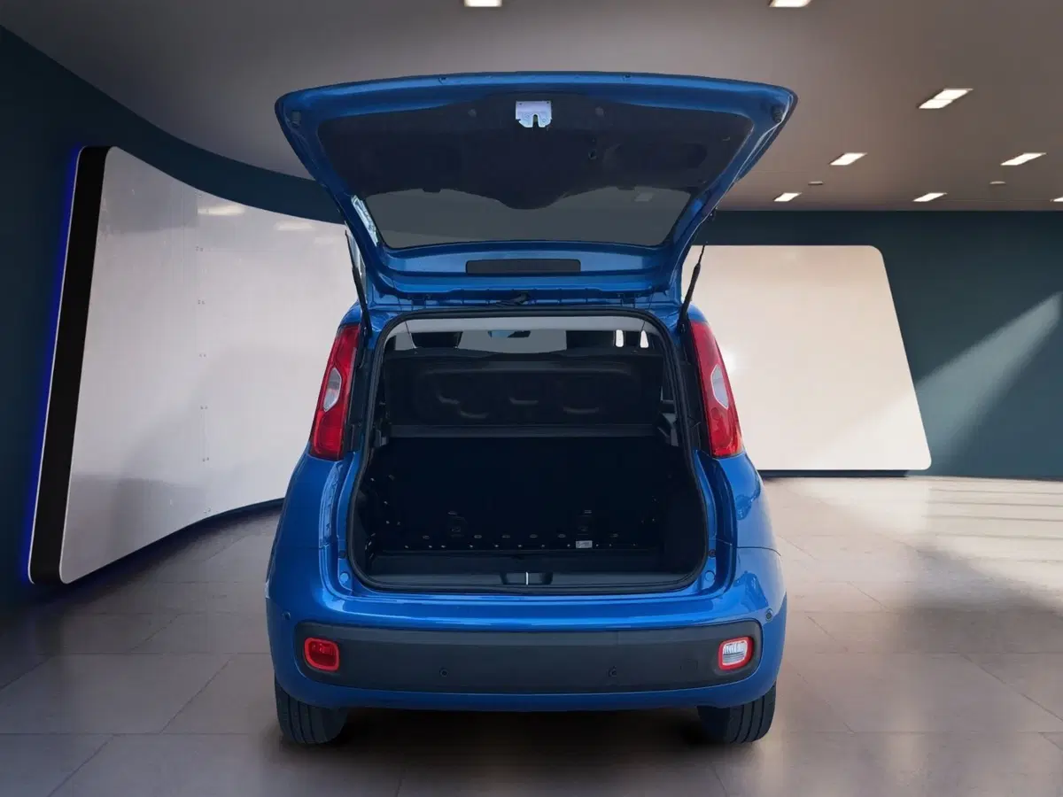Fiat Pandina usata a Torino (7)