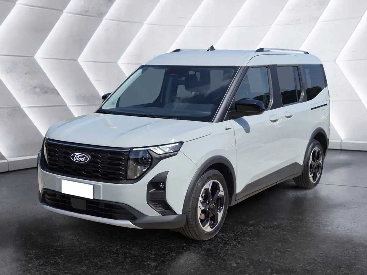 Ford Tourneo Courier usata 