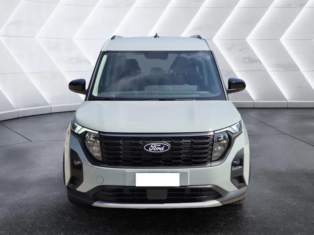 Ford Tourneo Courier usata  (2)