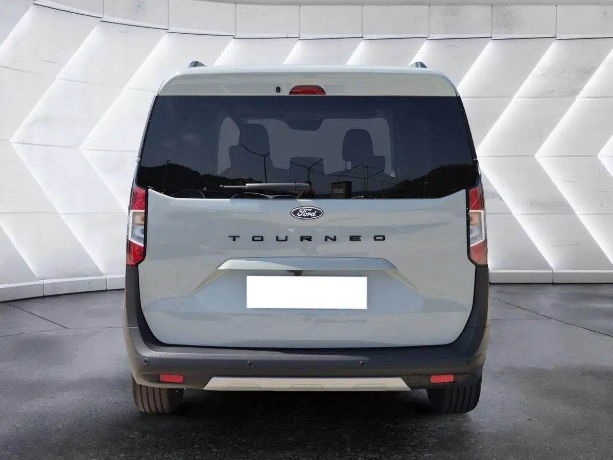 Ford Tourneo Courier usata  (3)