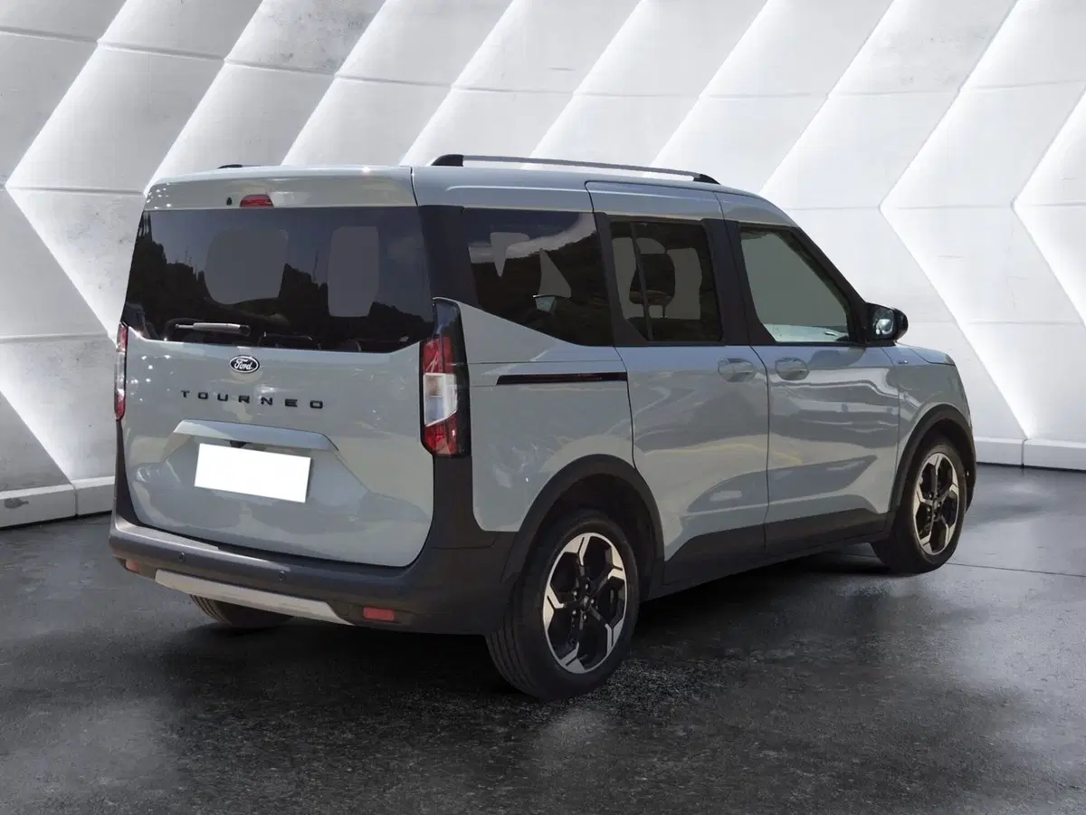 Ford Tourneo Courier usata  (4)