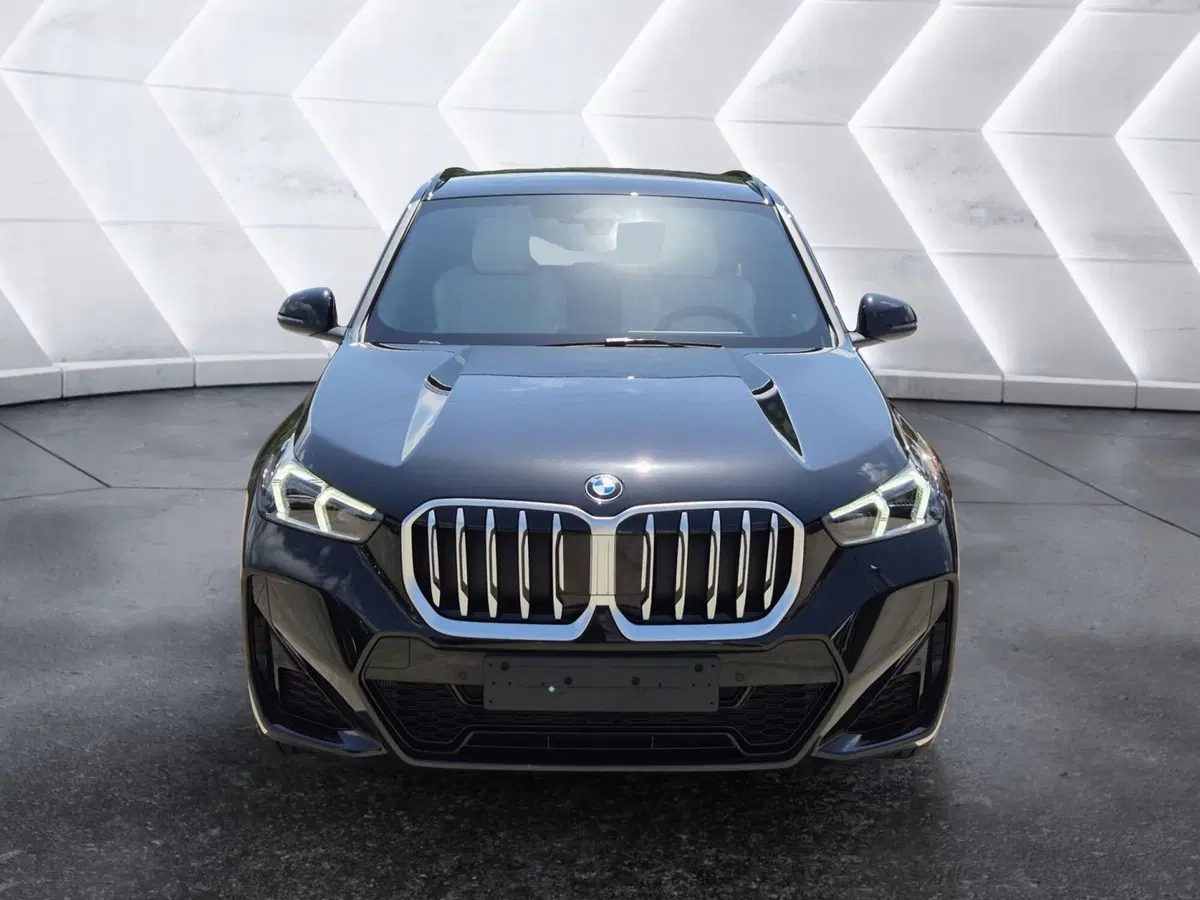 BMW X1 nuova a Genova (2)