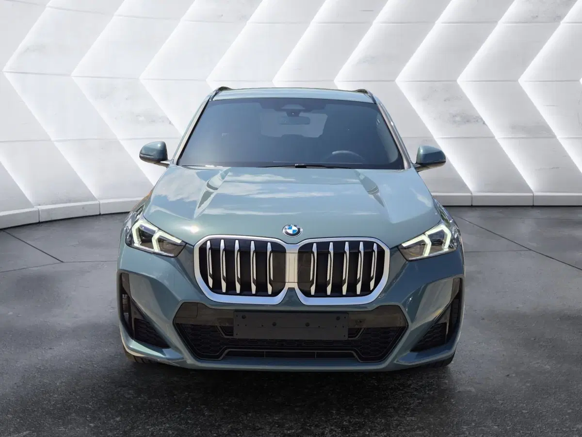 BMW X1 nuova a Genova (2)