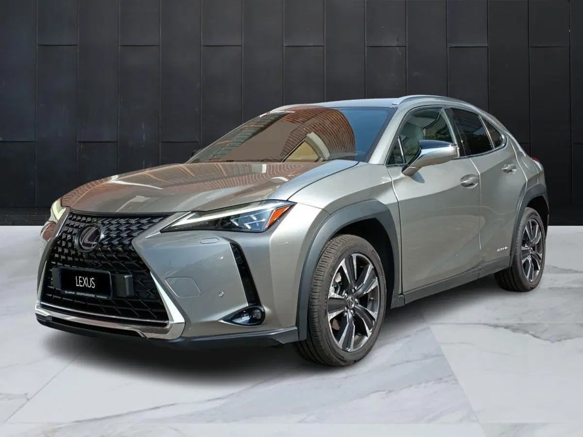 Lexus UX usata a Milano