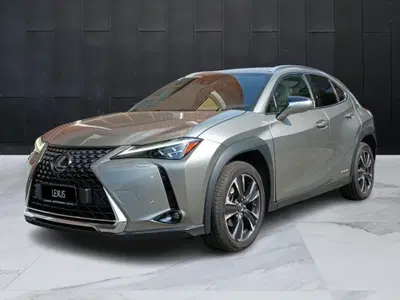 Lexus UX Hybrid 4WD Luxury del 2020 usata a Sesto San Giovanni