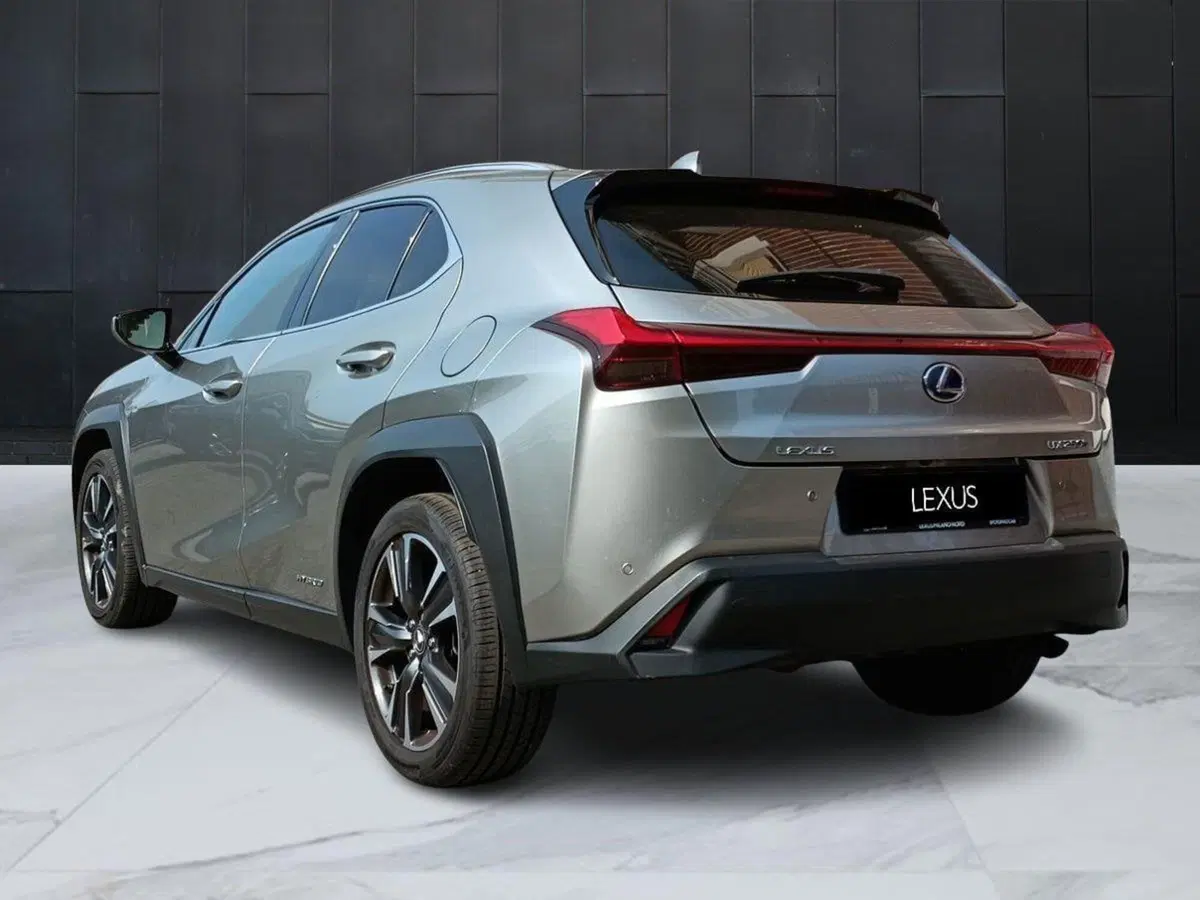 Lexus UX usata a Milano (5)