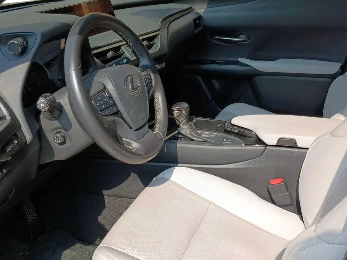 Lexus UX usata a Milano (7)