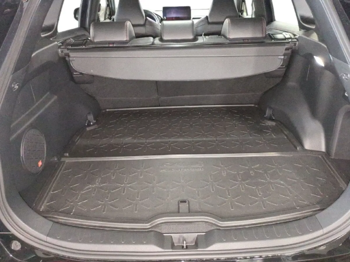 Toyota Rav4 usata a Milano (11)