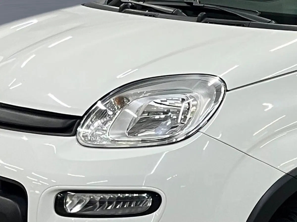 Fiat Panda usata a Bergamo (6)