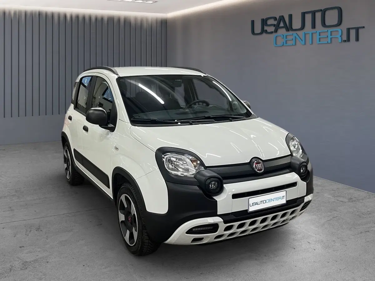 Fiat Panda usata a Bergamo (2)