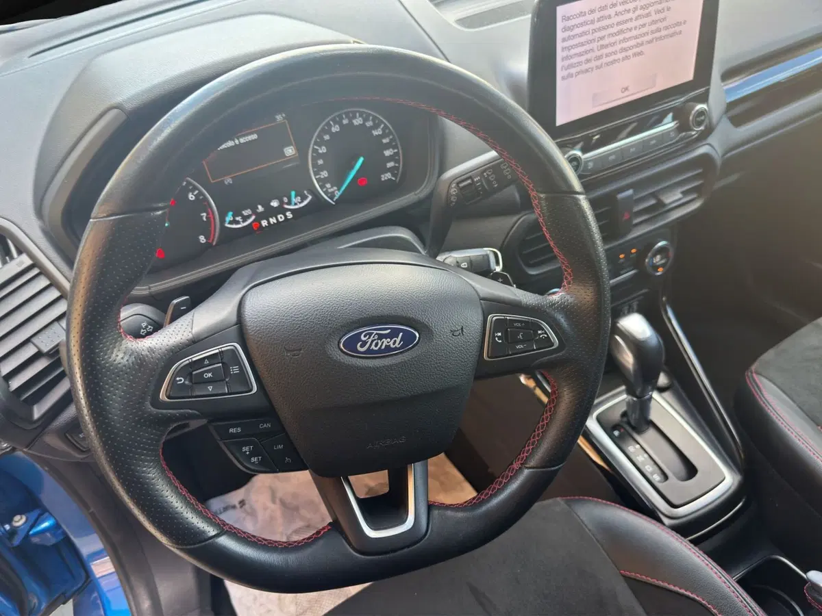 Ford EcoSport usata a Cosenza (10)